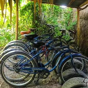 Penzion Guarumbo, Bacalar